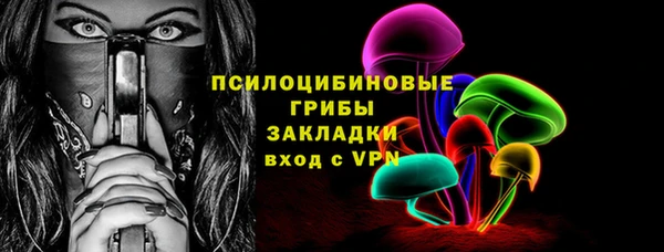молекула духа Волоколамск