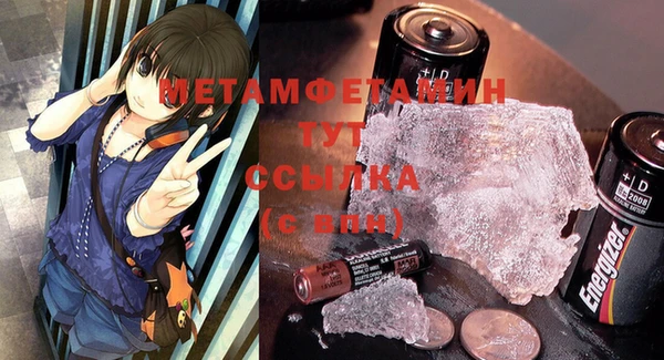 сатива Вяземский