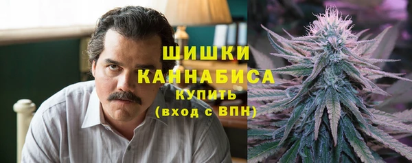 молекула духа Волоколамск